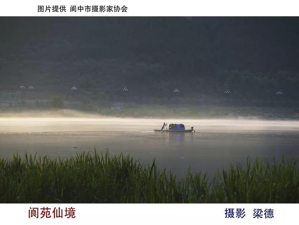 逗小猴开心系列186
