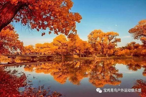 救援老画家